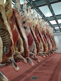 Говядина охлажденная в четвертях. Бык (зерновой и смешанный откорм) Казань