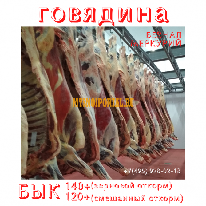 Говядина охлажденная в четвертях. Бык (зерновой и смешанный откорм) Казань - изображение 1