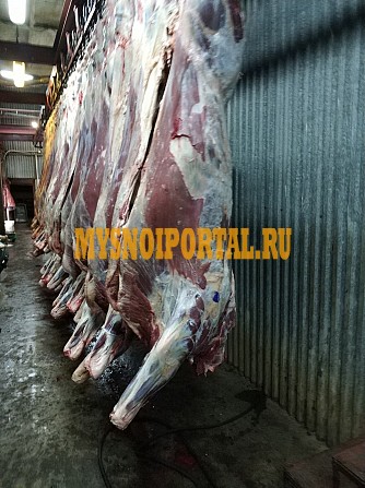 МЯСО ГОВЯДИНА ОПТОМ Москва - изображение 1