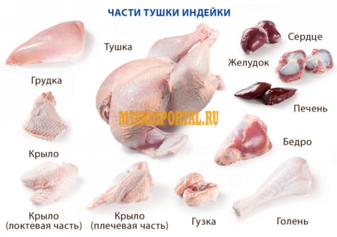 Реализуем мясо Индейки в охл/зам виде от производителя со склада в Чебоксарах, договорная Чебоксары - изображение 1