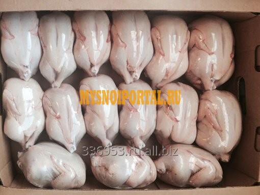 Корнишоны (тушка цыпленка) 3-х калибров охл/зам Москва - изображение 1