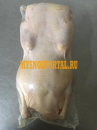 Утка: тушка 1, 8-2.2 кг и ее разделка, субпродукты охл/зам Москва - изображение 1