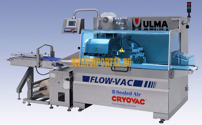 Флоу-пак упаковщик Cryovac FlowVac45 Шарлотт - изображение 1