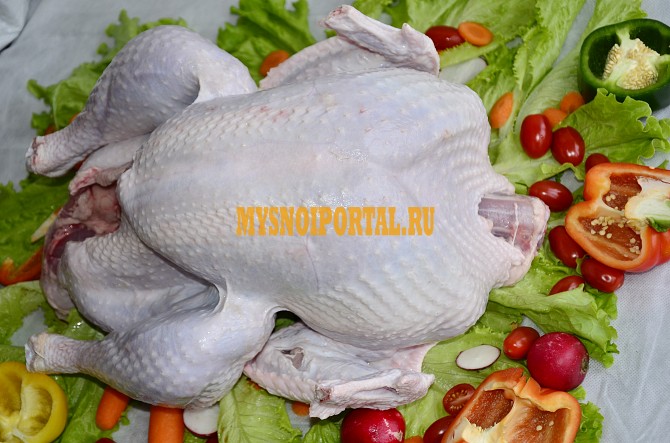 Разделка индейки "Алатау", ГОСТ, Халяль, ТУ, н/к, Охл/Зам, с доставкой до покупателя от 165 руб. в Ижевске Ижевск - изображение 1