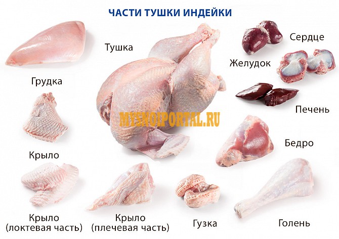 Разделка индейки ГОСТ, б/к, охл, своей машиной по городу в Москве Москва - изображение 1