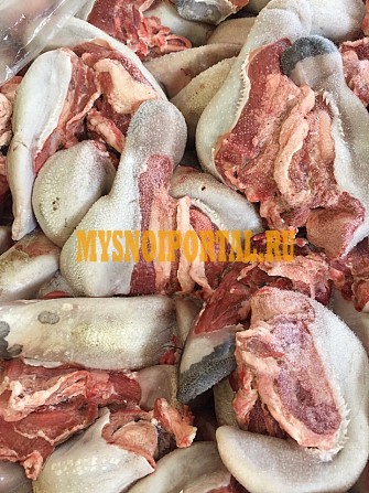 Продаю Языки бараньи зам, от 100 кг в Левокумском Левокумское - изображение 1