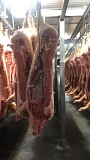 Продаю Полутуши Свиные н/к охл в Перми  доставка из г.Пермь