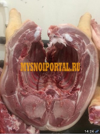 Продаю Полутуши Свиные н/к охл в Перми Пермь - изображение 1