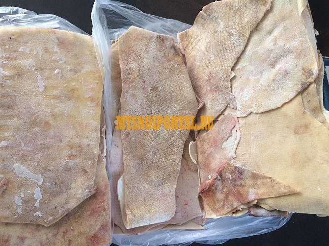 Продаю Шкуры свиные зам, от 1 тонны в Ростове-на-Дону Ростов-на-Дону - изображение 1