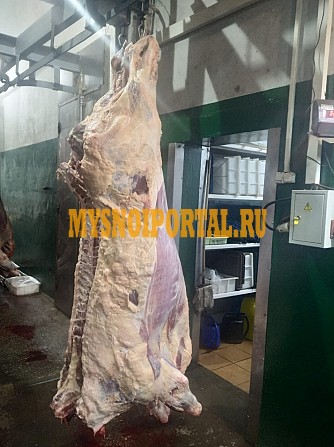 Продаю Четверти говяжьи ТУ, HEREFORD, н/к, охл, в Ижевске Ижевск - изображение 1