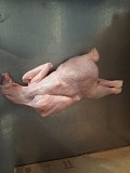Продаю Куриные Тушки ГОСТ н/к, зам,  в Омске  Омск