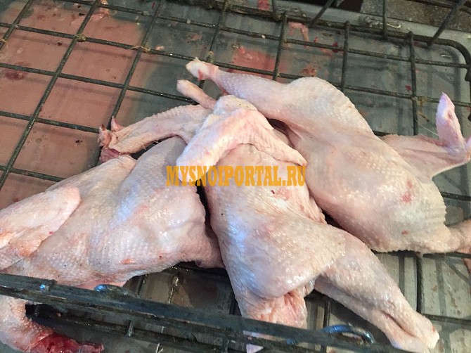 Продаю Куриные Тушки ГОСТ н/к, зам, в Омске Омск - изображение 1