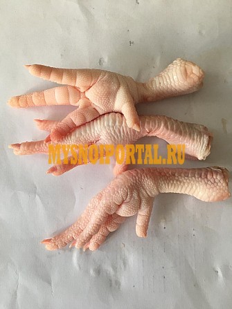 Продаю Лапы/Ноги куриные зам, от 1 тонны в Омске Омск - изображение 1