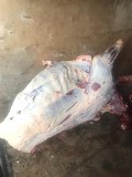 Продаю Четверти говяжьи РФ, ГОСТ, ТУ, н/к,  зам,в Ижевске  Ижевск