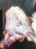 Продаю Четверти говяжьи РФ, ГОСТ, ТУ, н/к,  зам,в Ижевске  Ижевск