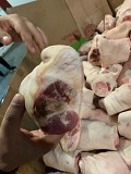 Продаю Свиные субпродукты в ассортименте Охл/Зам от 1 тонны  в Москве  доставка из г.Москва