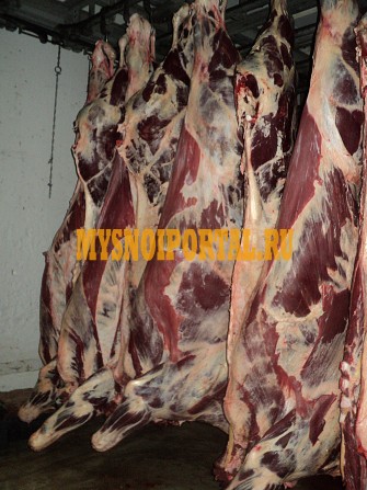 Продаю Блочная говядина ГОСТ, ТУ, blak angus, HEREFORD, шаролезская, лимузинская, Wagyu, б/к, зам, в Новосибирске Новосибирск - изображение 1