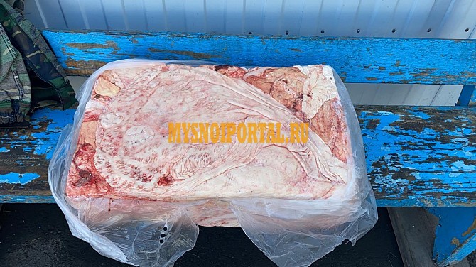 Продаю Жир говяжий -сырец , в Барнауле Барнаул - изображение 1