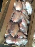 Куриные Тушки ГОСТ бренда 