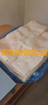 Продаю Шпик свиной Боковой зам в Иваново Иваново - изображение 1