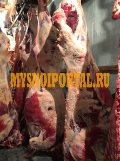 Продаю Полутуши Говяжьи ГОСТ, н/к, охл, в Екатеринбурге Екатеринбург - изображение 1