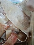 Продаю Шкура свиные , зам, от 100 кг  в Воронеже  доставка из г.Воронеж