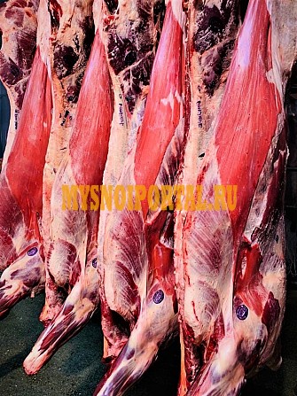 Продаю Полутуши Говяжьи коров ГОСТ, HEREFORD, н/к, зам, в Тюмени Тюмень - изображение 1
