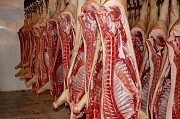 Продаю Туши свиные н/к, охл, категория - I (беконная), II (мясная – молодняк) в Самаре  доставка из г.Самара
