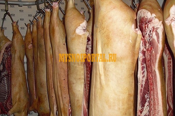 Продаю Туши свиные н/к, охл, категория - I (беконная), II (мясная – молодняк) в Самаре Самара - изображение 1