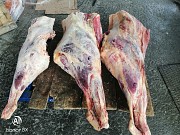 Продаю Полутуши Говяжьи  ГОСТ, HEREFORD, н/к,  зам, в Улан-Удэ  доставка из г.Улан-Удэ
