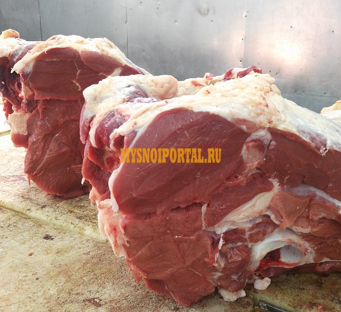 Продаю Полутуши Говяжьи РФ, ГОСТ, blak angus, н/к, охл, в Кольчугино Кольчугино - изображение 1