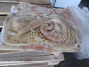 Продаю Рубец говяжий зам от 100 кг  в Воронеже  Воронеж