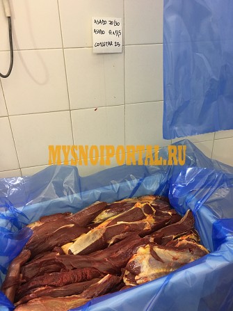 Продажа: Лопатка конины ГОСТ, н/к, зам, в Москве Москва - изображение 1