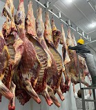 Продаю Полутуши Говяжьи РФ, ГОСТ, н/к,  Охл/Зам,в Ростове-на-Дону  Ростов-на-Дону