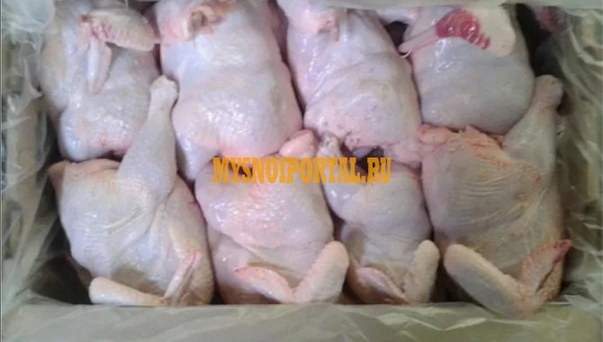 Куриные Тушки ГОСТ н/к, Охл/Зам, в Санкт-Петербурге Санкт-Петербург - изображение 1