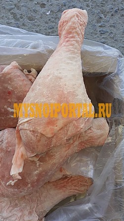Голень Индейки Челябинск - изображение 1