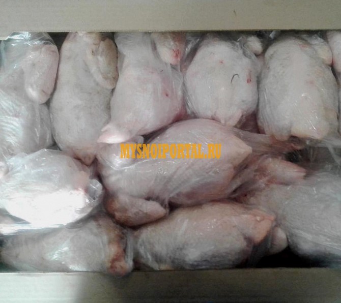 Куриные Тушки ГОСТ бренда Павловская ПФ, н/к, зам, в Барнауле Барнаул - изображение 1