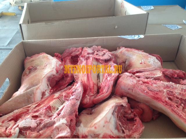 Продаю Головы свиные зам, от 100 кг, от 10 тонн в Челябинске Челябинск - изображение 1
