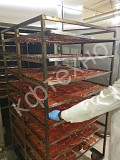 Корпусная термокамера коптильно-варочная с холодом на две загрузочные рамы КФТЕХНО (Россия) доставка из г.Малоярославец