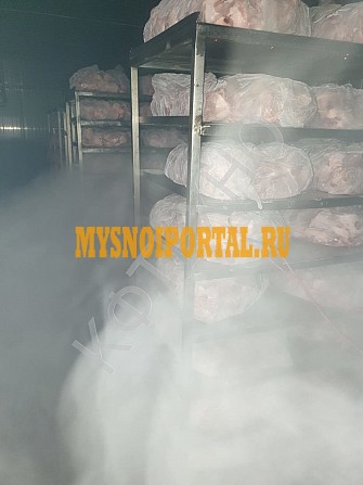 Камера дефростации воздушно-капельного типа КФТЕХНО (Россия) Малоярославец - изображение 1