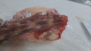 Продаю Хвосты говяжьи Охл/Зам от 1 тонны  в Донском  Донской