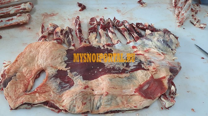 Продаю Полутуши Говяжьи РФ, ГОСТ, б/к, Охл/Зам, в Ижевске Ижевск - изображение 1