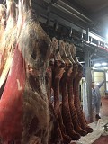 Продаю Полутуши Говяжьи Белларусия, ГОСТ, н/к,  зам,в Слуцке  Слуцк