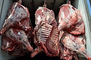 Продаю Четверти говяжьи Белларусия, ГОСТ, н/к,  зам,в Слуцке  Слуцк