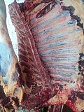 Продаю Четверти говяжьи Белларусия, ГОСТ, н/к,  зам,в Слуцке  Слуцк