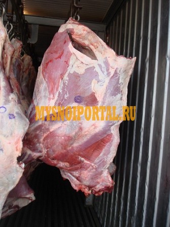 Продаю Четверти говяжьи Белларусия, ГОСТ, н/к, зам, в Слуцке Слуцк - изображение 1