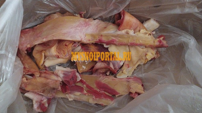 Продаю Жилка говяжья зам, от 100 кг в Самаре Самара - изображение 1