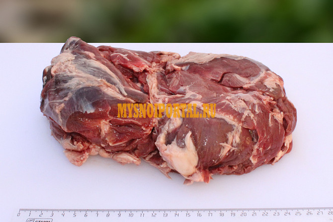 Окорок Бараний зам, в Санкт-Петербурге Санкт-Петербург - изображение 1