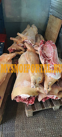 Полутуши Свиные Охл/Зам, категория - II (мясная – молодняк) в Красноярске Красноярск - изображение 1