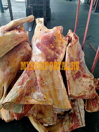 Продаю Полутуши Говяжьи РФ, ТУ, н/к, Охл/Зам, в Екатеринбурге Екатеринбург - изображение 1